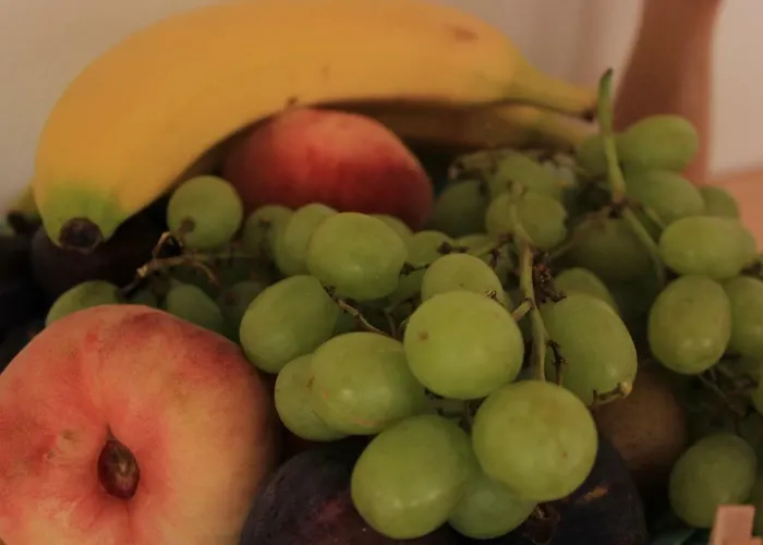 Stegmann Bad Salzungen