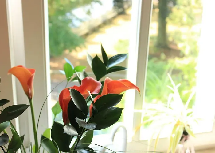 Pensjonat Stegmann 3*